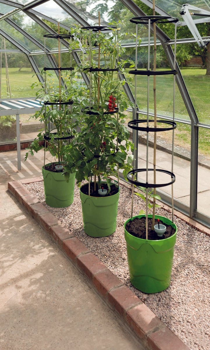 Grotårn, grøn - Blomsterverden